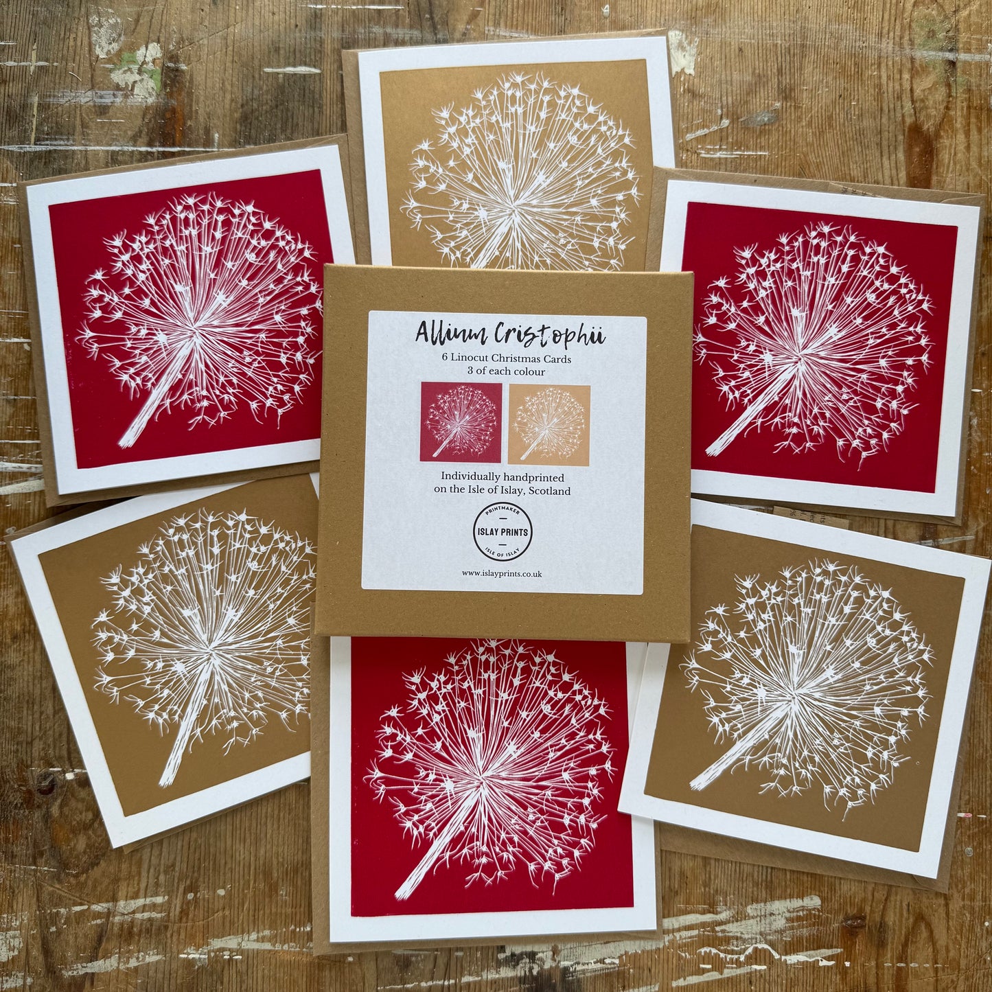 Allium Cristophii - 6 Handprinted Christmas Cards