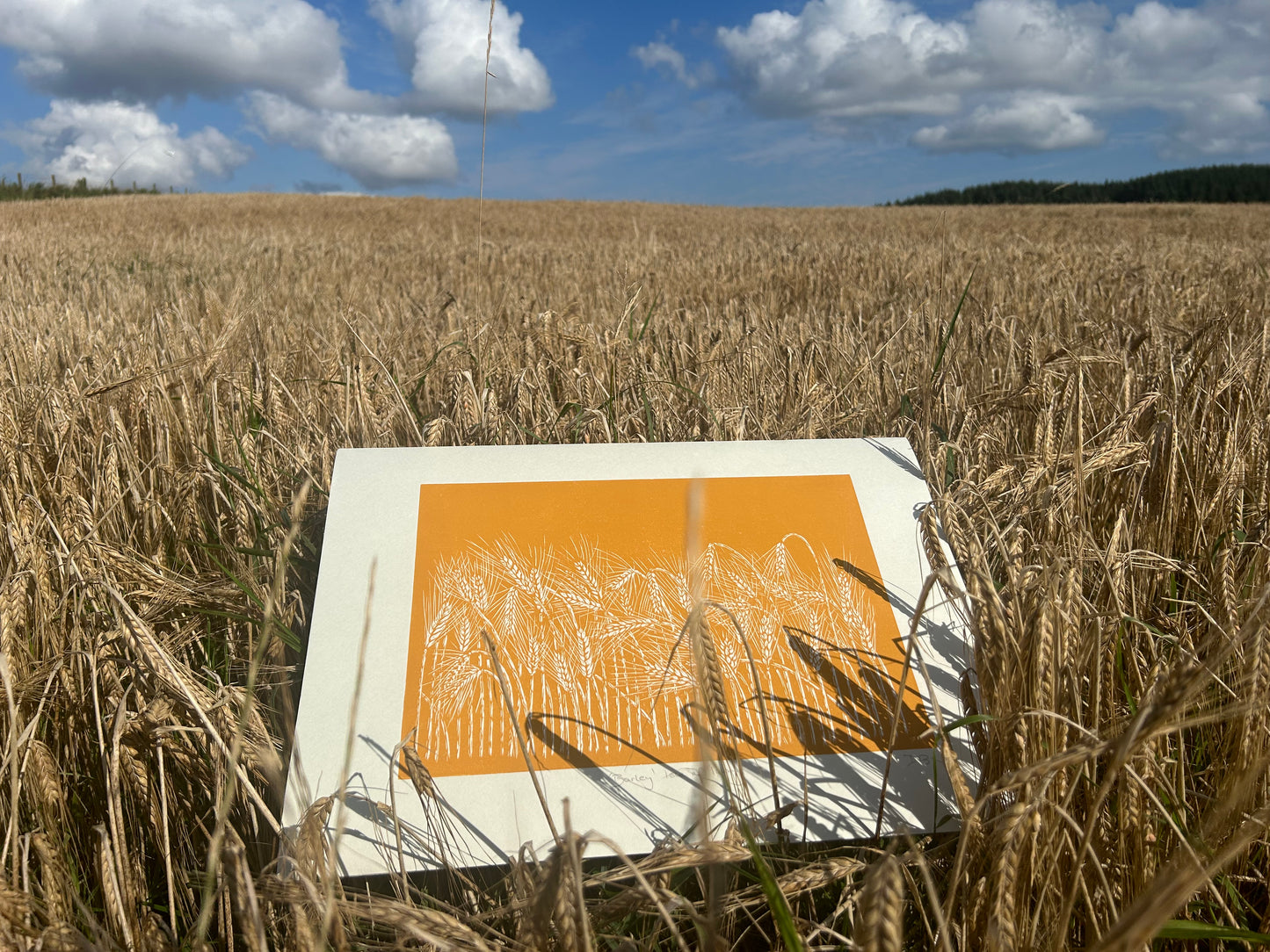 Field of Barley Original Linoprint - Handprinted, Isle of Islay
