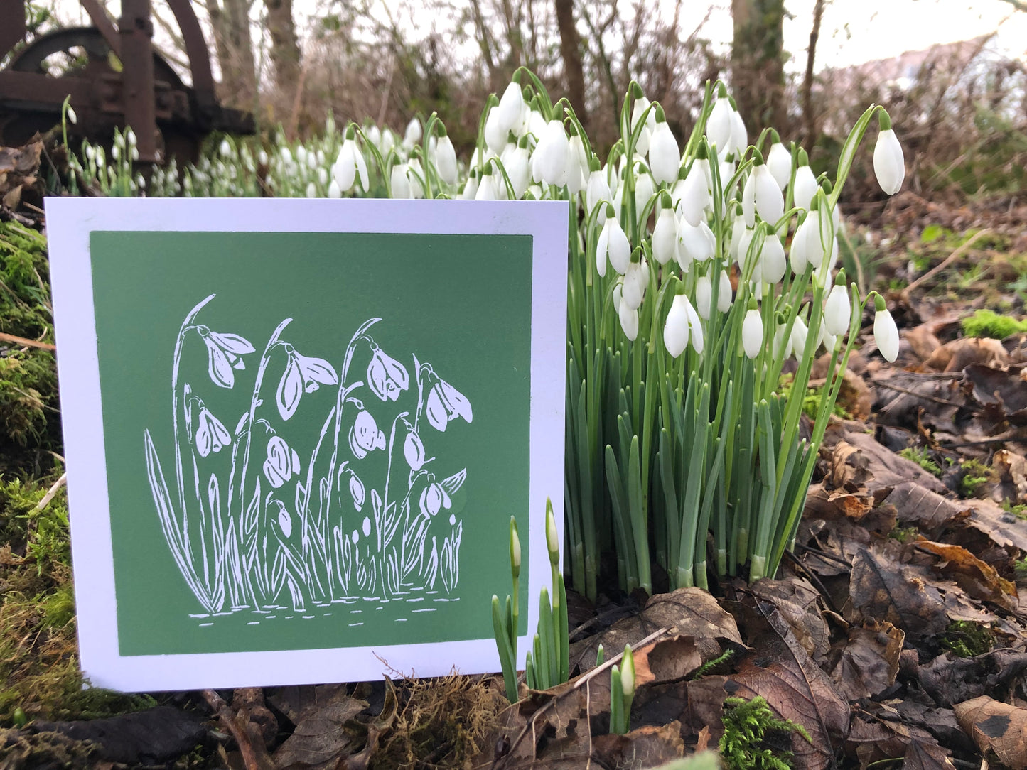 Handprinted Card - Snowdrops - Isle of Islay