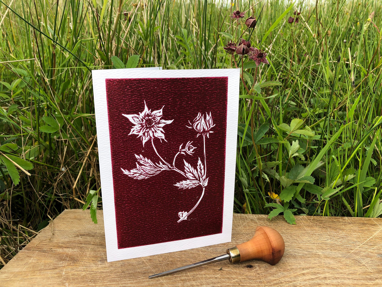 Handprinted Linocut Blank Card - Marsh Cinquefoil - Isle of Islay
