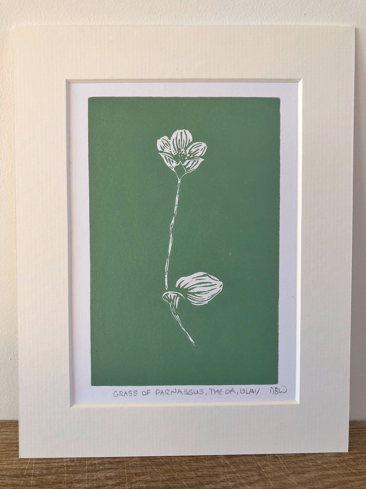 Grass of Parnassus Original Linoprint - Isle of Islay