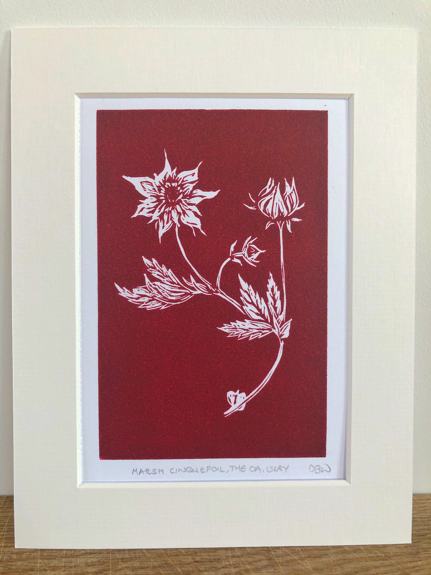 Marsh Cinquefoil Original Linoprint - Isle of Islay