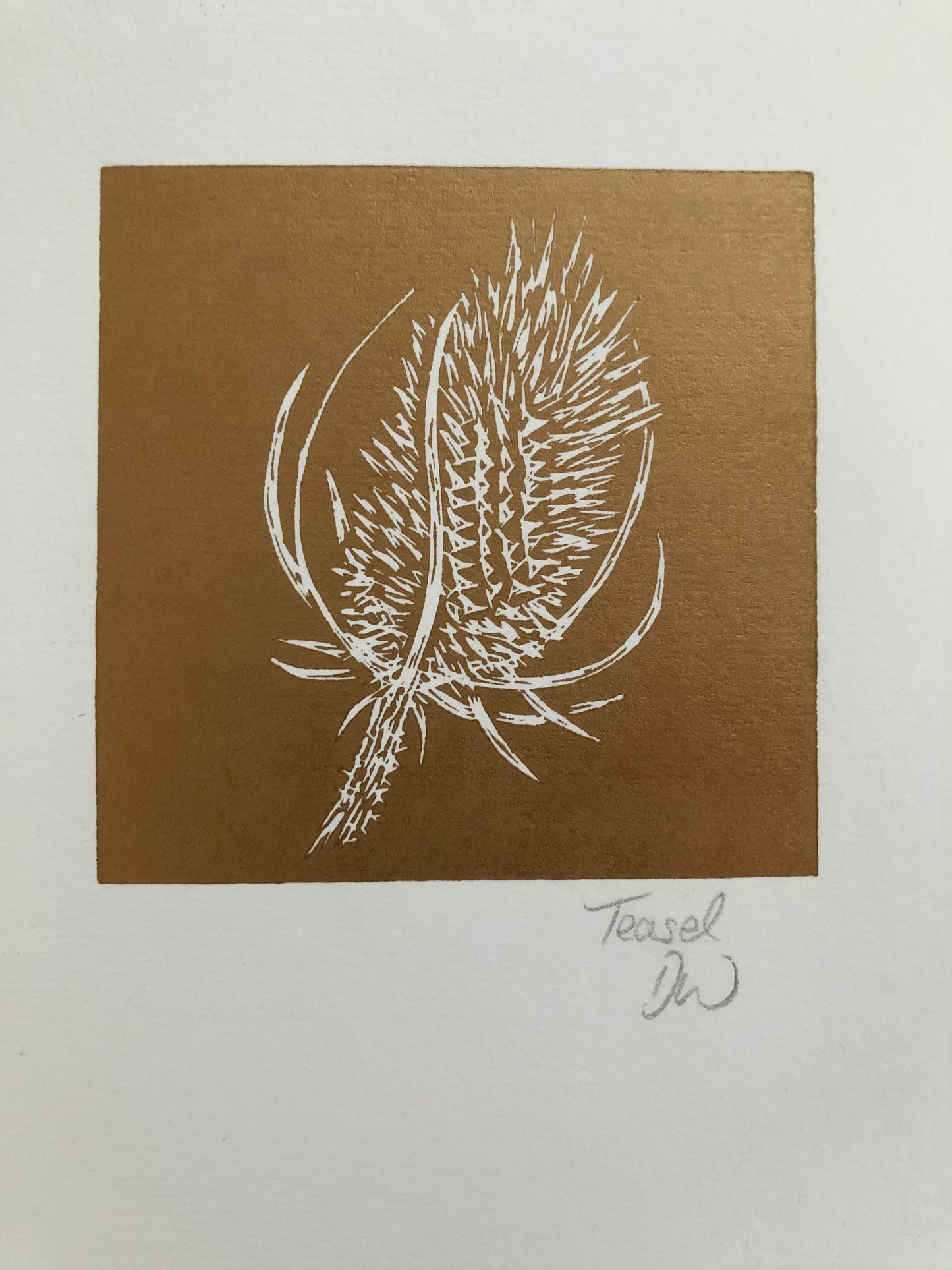Teasel Seed Head Original Linoprint - Isle of Islay