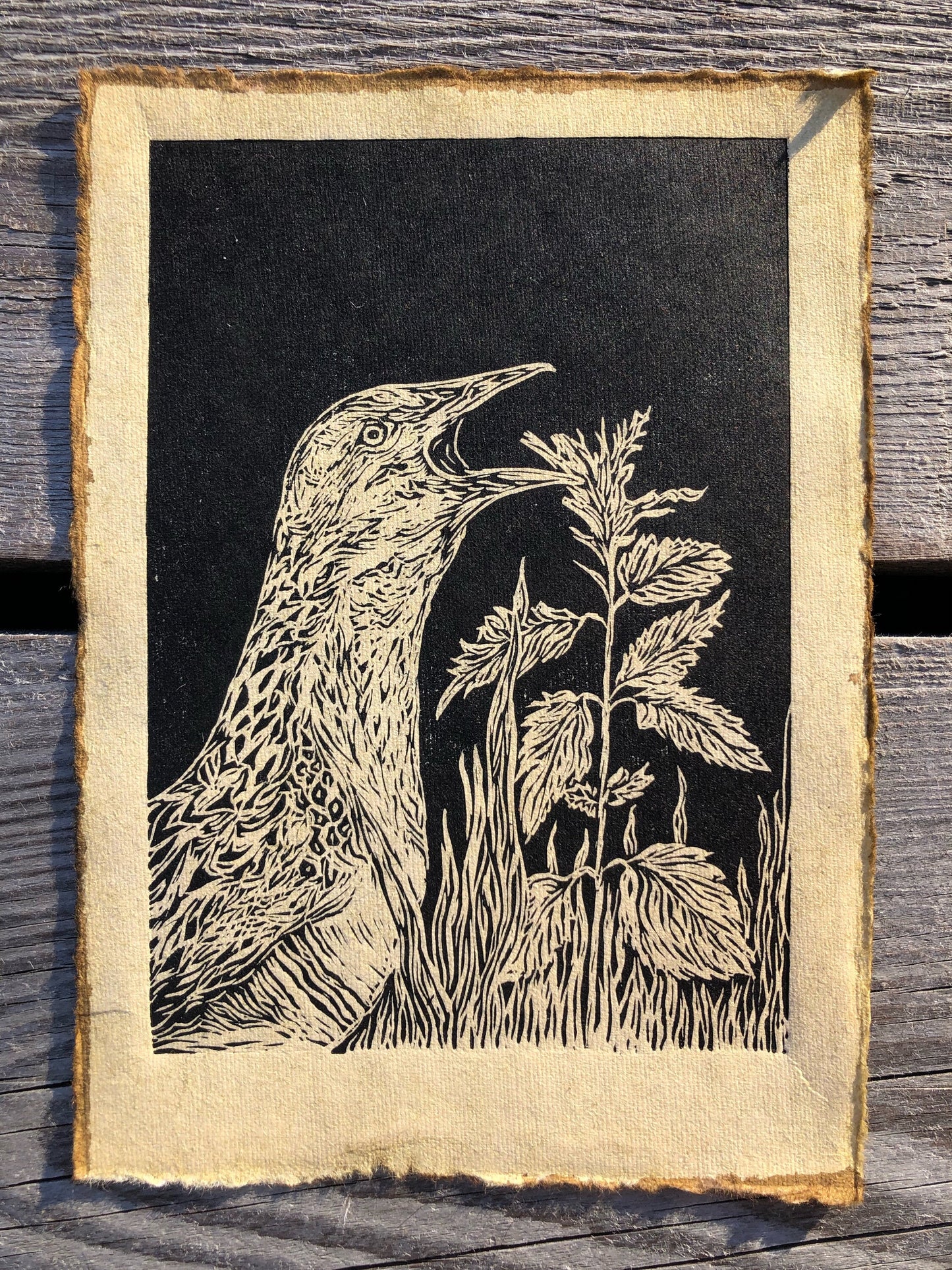 Crex crex, Corncrake Original Linoprint - Handprinted, Isle of Islay