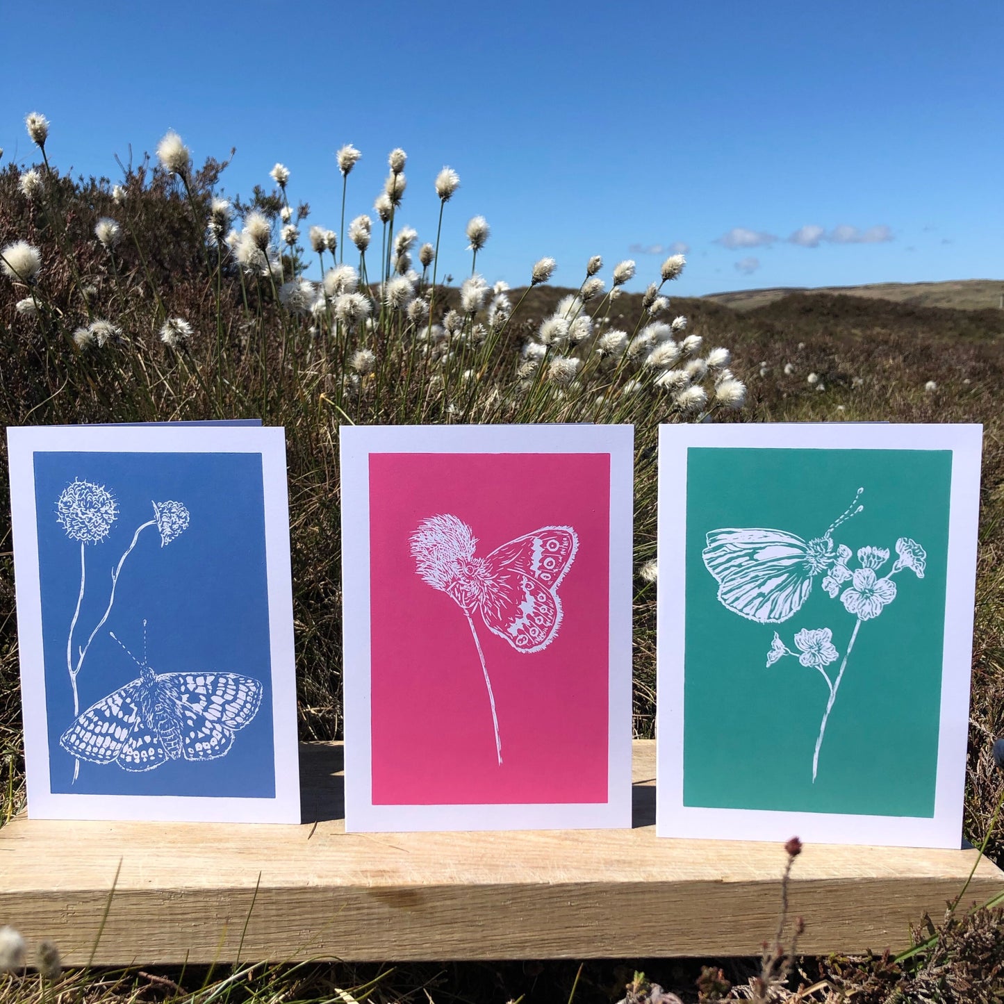 Set of 3 Handprinted Cards - Butterflies and their food plants, Isle of Islay