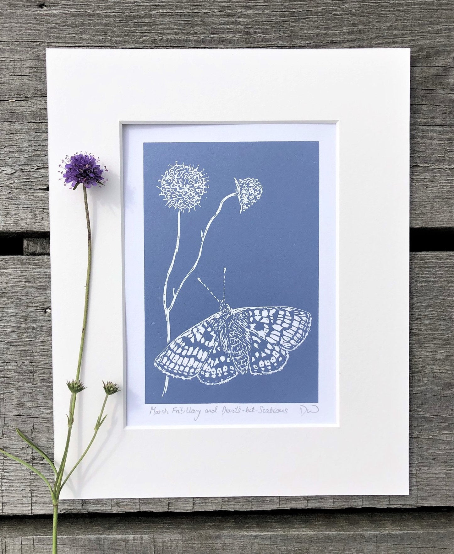 Marsh Fritillary and Devil’s-bit-Scabious Original Linoprint - Isle of Islay