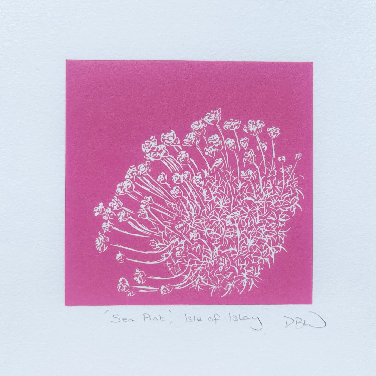 Sea Pink Original Linoprint
