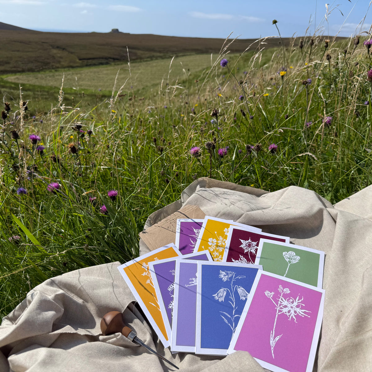 Wildflowers of Islay - Boxed set of 9 Greeting Cards