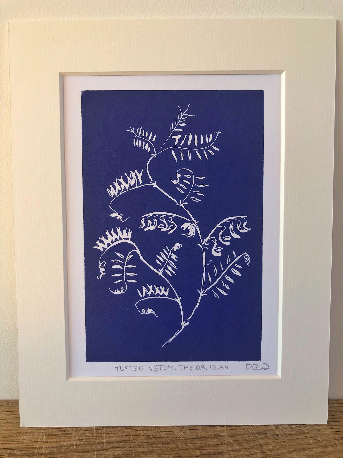 Tufted Vetch Original Linoprint - Isle of Islay