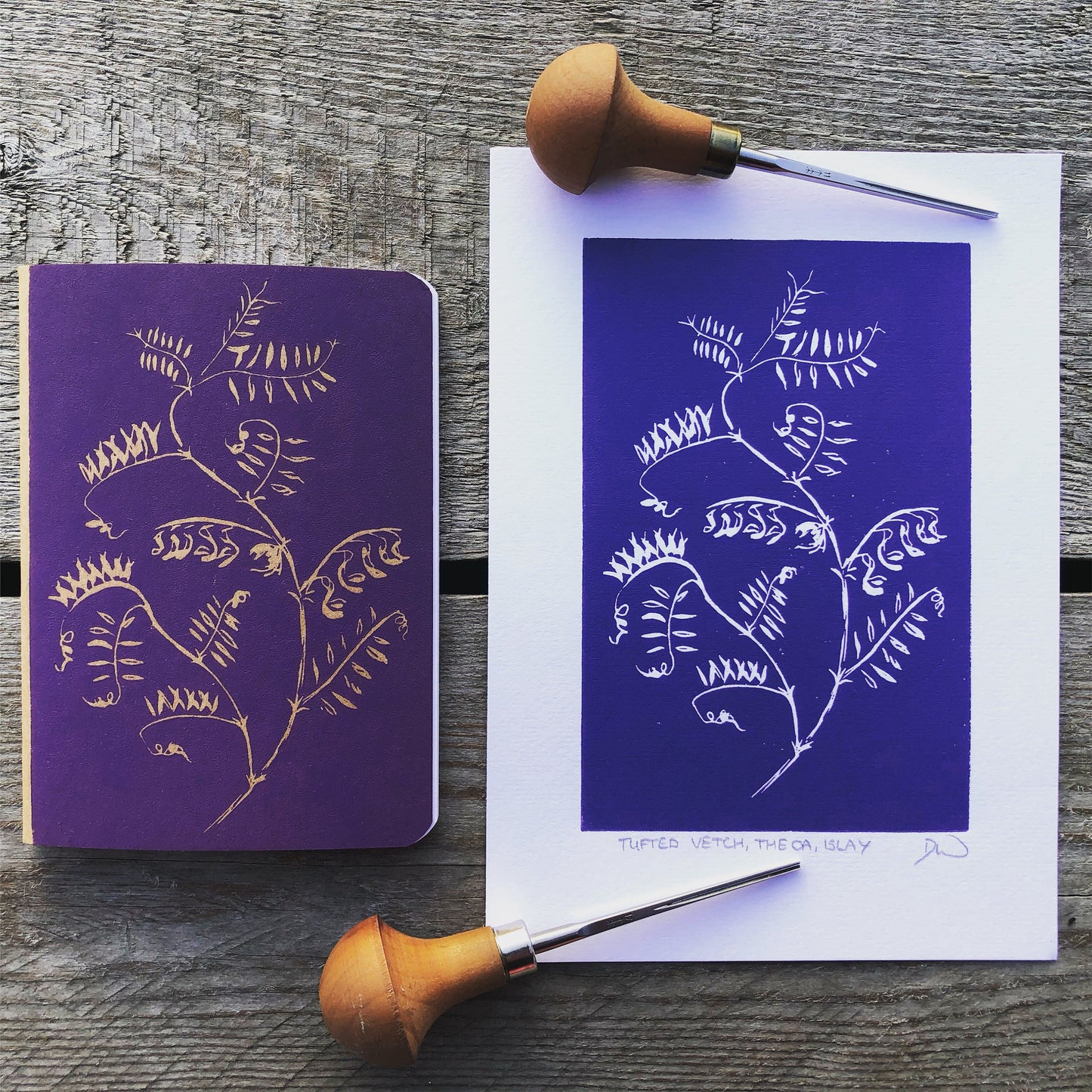 Tufted Vetch Original Linoprint - Isle of Islay