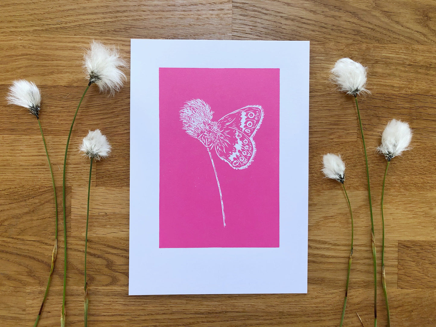 Large Heath on Hare's-Tail Cotton Grass Original Linoprint - Isle of Islay