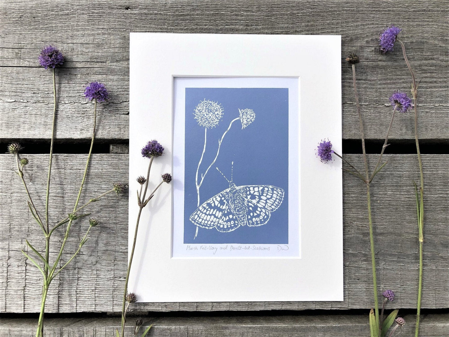 Marsh Fritillary and Devil’s-bit-Scabious Original Linoprint - Isle of Islay