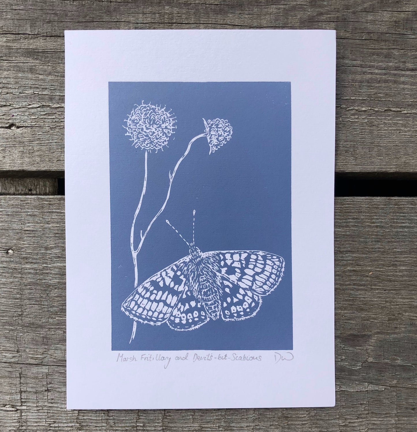 Marsh Fritillary and Devil’s-bit-Scabious Original Linoprint - Isle of Islay
