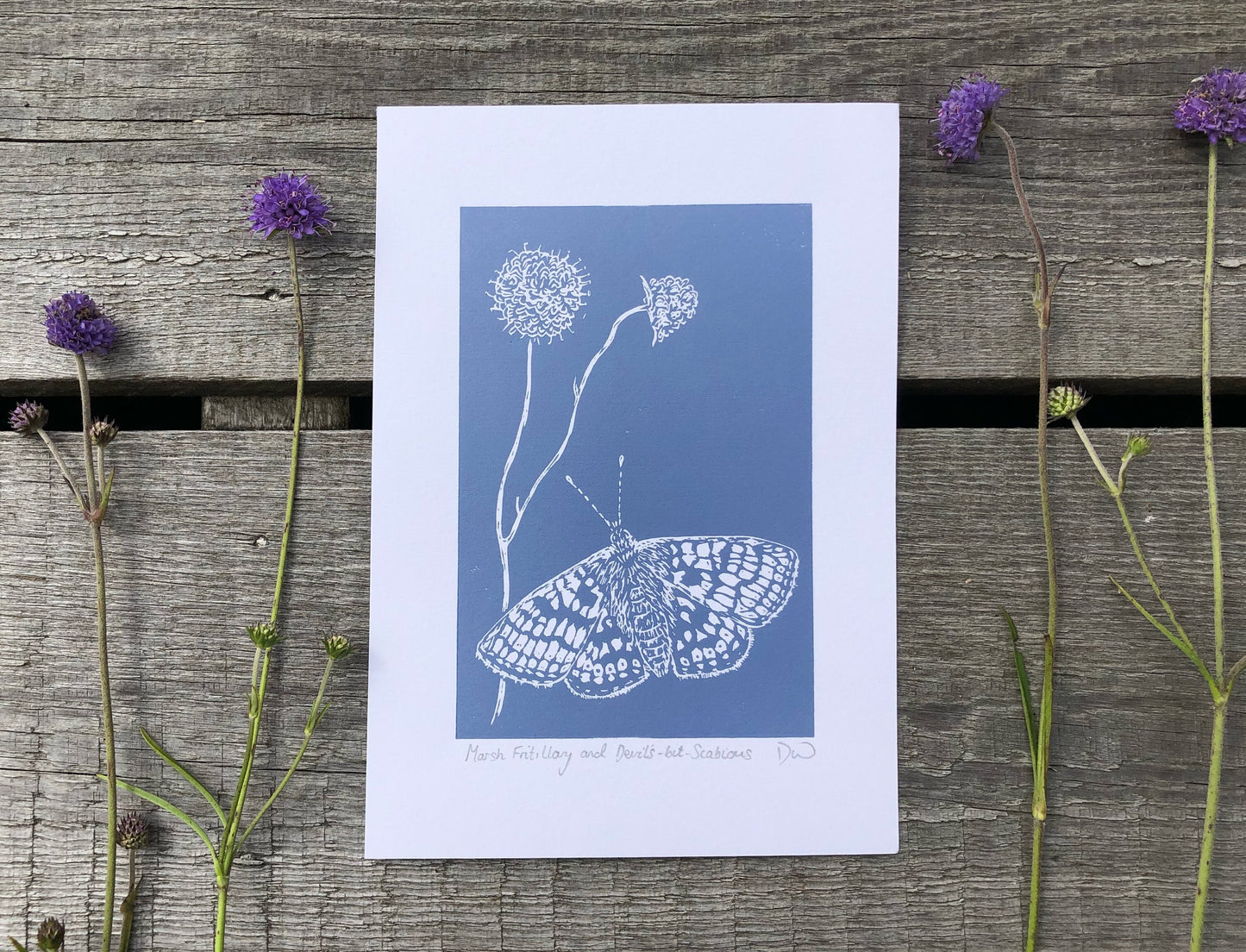 Marsh Fritillary and Devil’s-bit-Scabious Original Linoprint - Isle of Islay