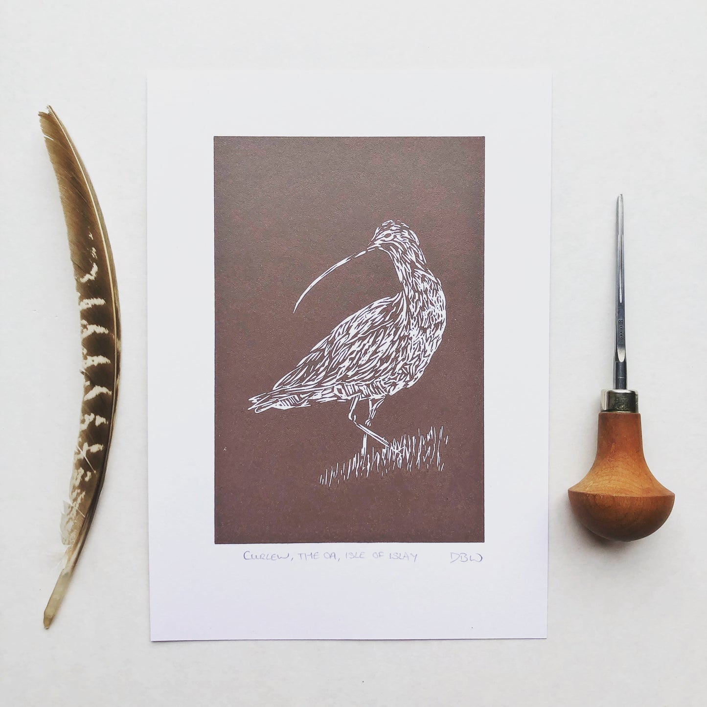 Curlew - Original Linoprint